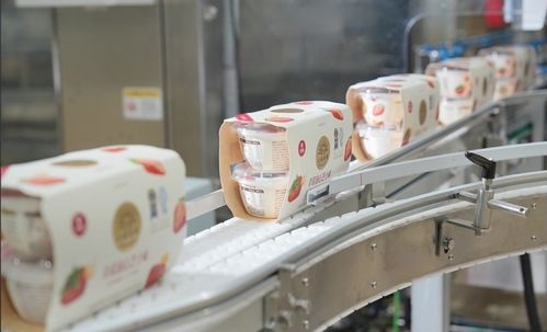 北海牧場首席運(yùn)營官王悅霖 公司已入駐超1萬家便利店，深耕一二線市場與創(chuàng)新渠道并進(jìn)